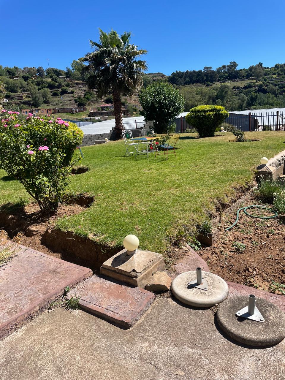 Peaceful garden space with lush lawn and flowering bushes